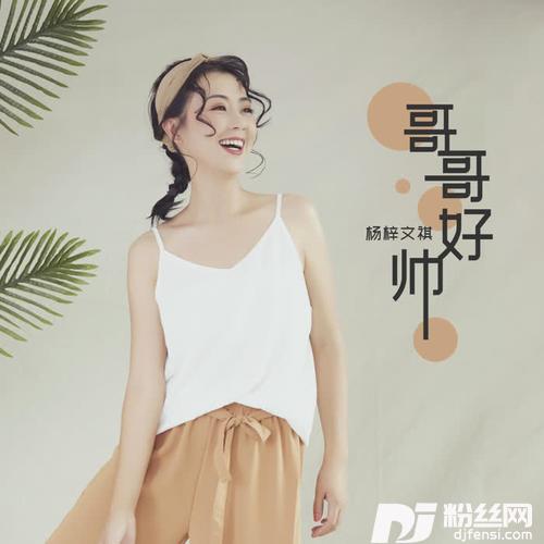 哥哥好帅DJheap九天版