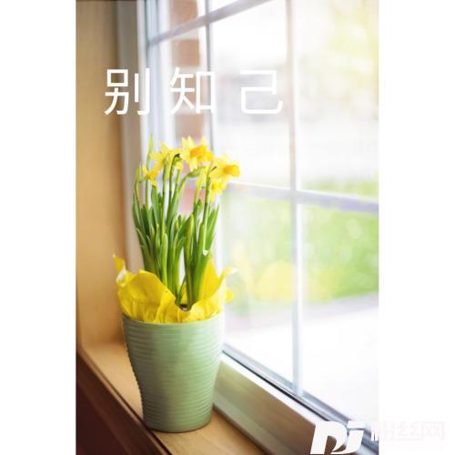 别知己的专辑