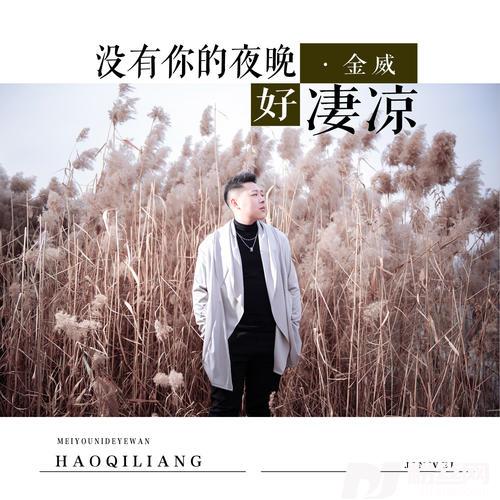 没有你的夜晚好凄凉