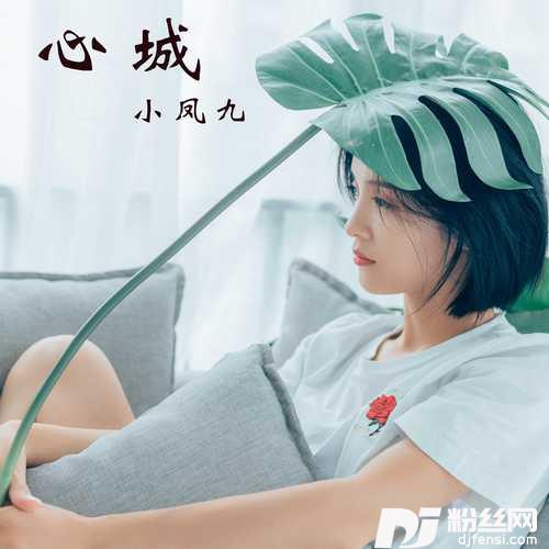 心城
