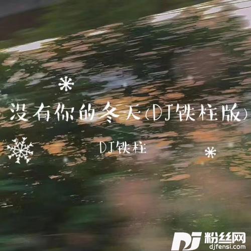 没有你的冬天DJ铁柱版