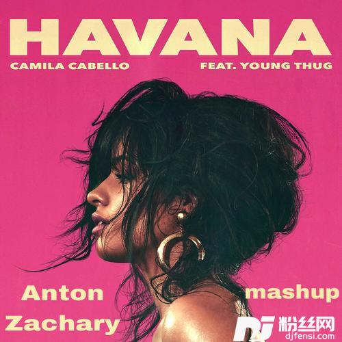 HavanaAntonZacharymashup