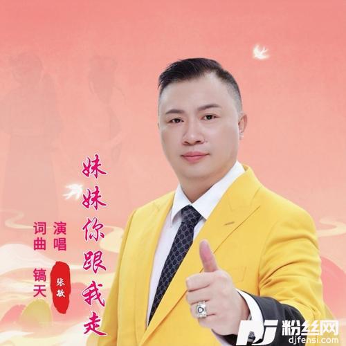 妹妹你跟我走（DJ何鹏版）的专辑