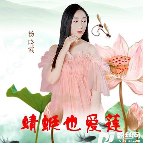 蜻蜓也爱莲