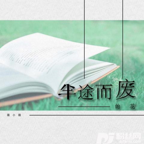 半途而废的花的专辑