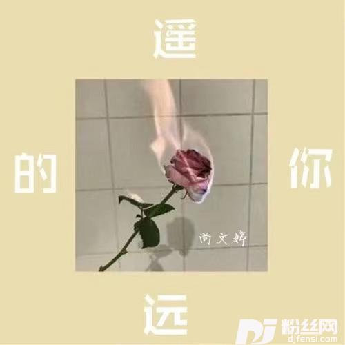 遥远的你的专辑
