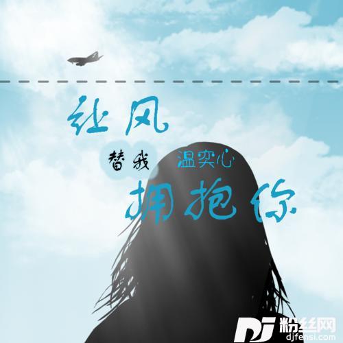 让风替我拥抱你