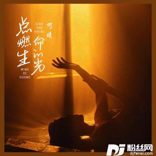 点燃生命的光的专辑