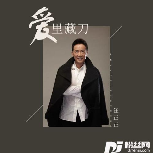 爱里藏刀