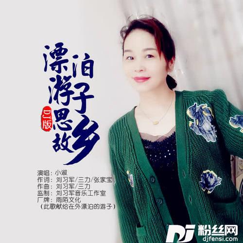 漂泊游子思故乡DJ版的专辑