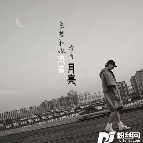 多想和你流浪，看看月亮