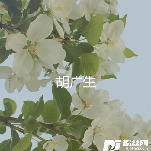 胡广生的专辑