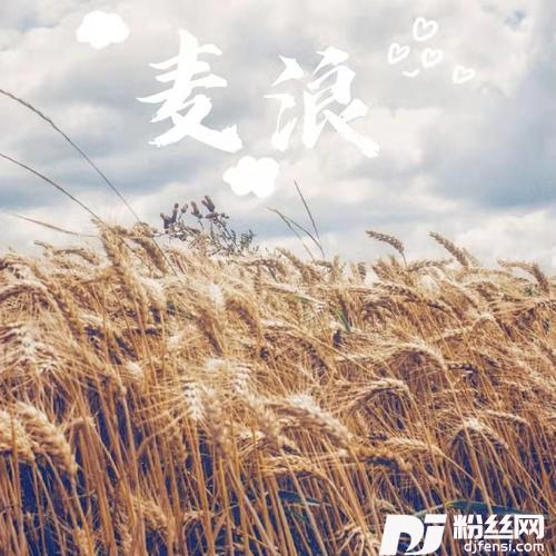 麦浪