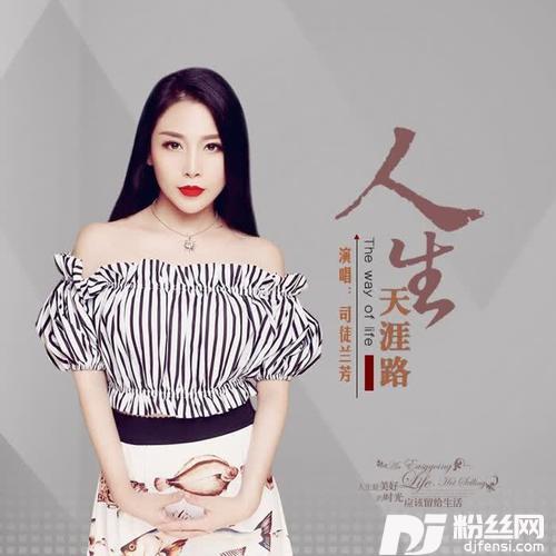 人生天涯路DJ版