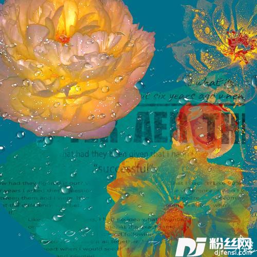 芒果