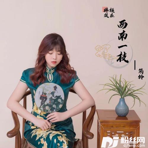 西南一枝的专辑