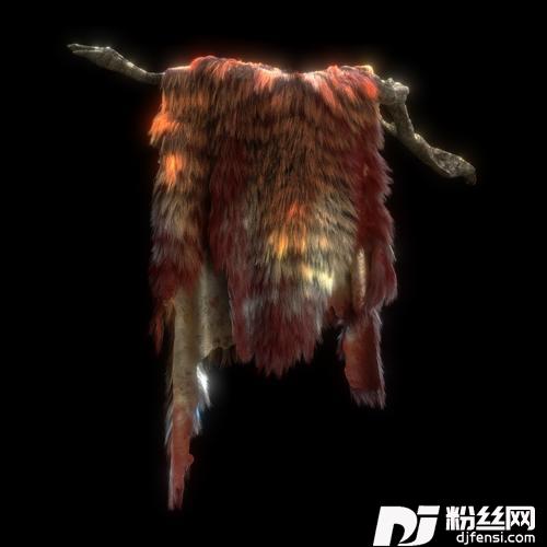 人类Animal