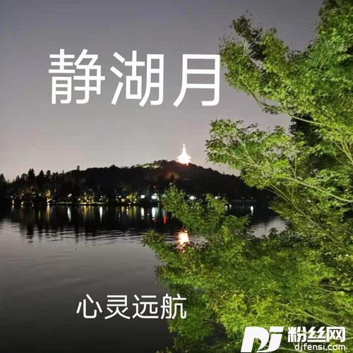 赠月光的专辑