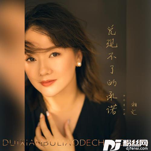 兑现不了的承诺DJ沈念版