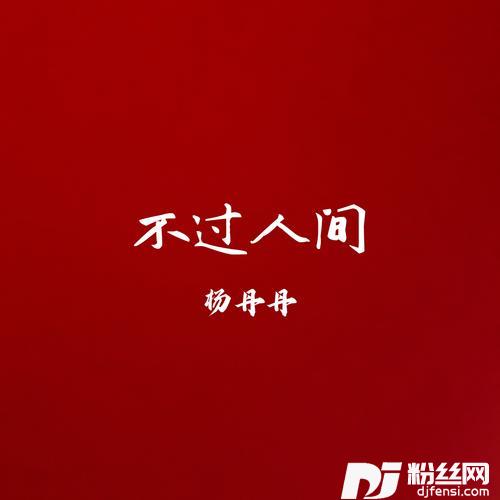 不过人间（DJ版大鹏鸟）
