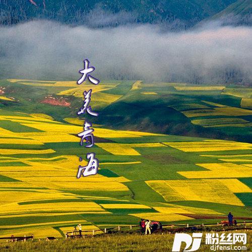 民和情