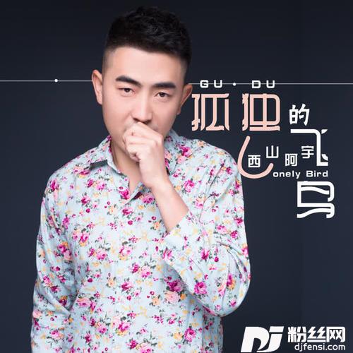孤独的飞鸟的专辑