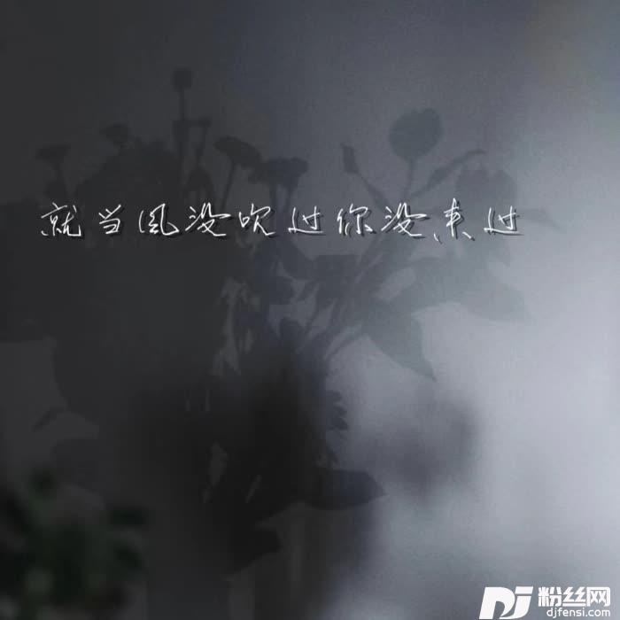 就当风没吹过你没来过