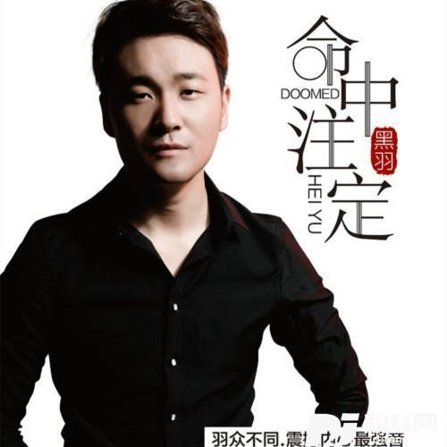 命中注定的专辑