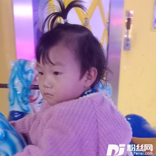 铁窗泪cover:迟志强|张秀艳的专辑