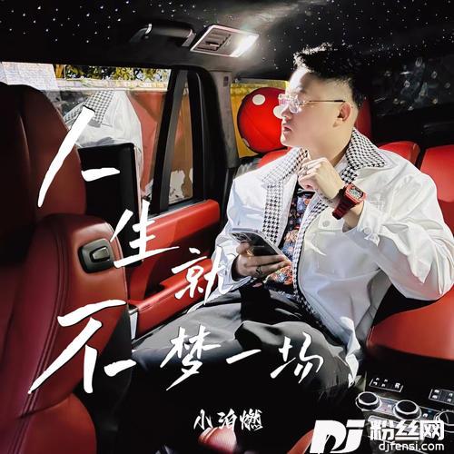人生不就梦一场DJ花哨版的专辑