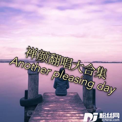 物是心非DJ版