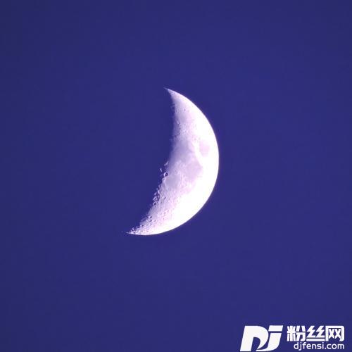 颂晚眠的专辑