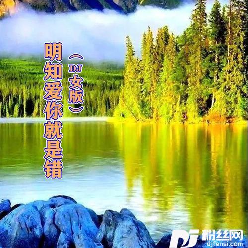 明知爱你就是错DJ钰柃版