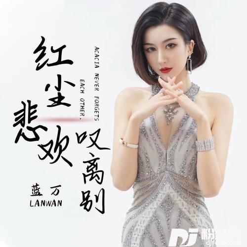 红尘悲欢叹离别DJ默涵版