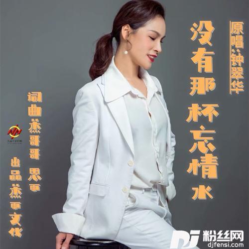没有那杯忘情水（DJ版）