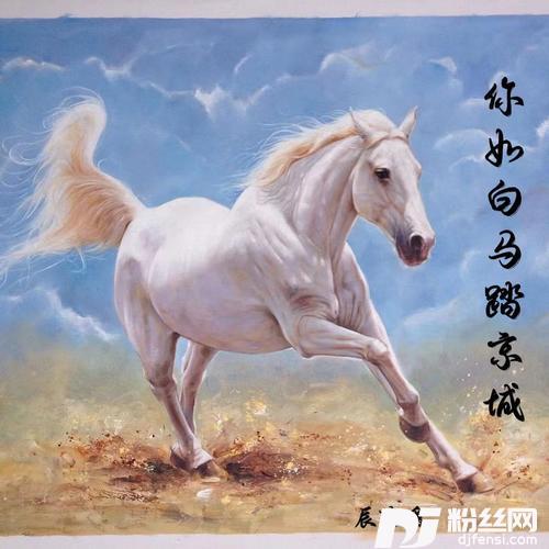 你如白马踏京城