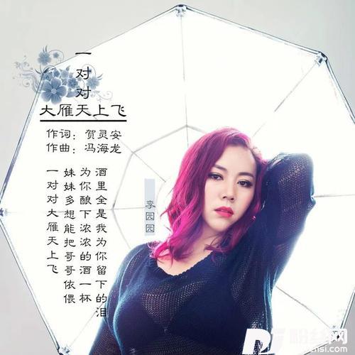 一对对大雁天上飞