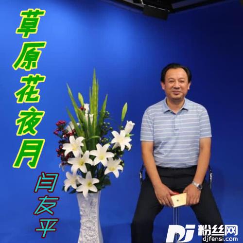 草原花夜月