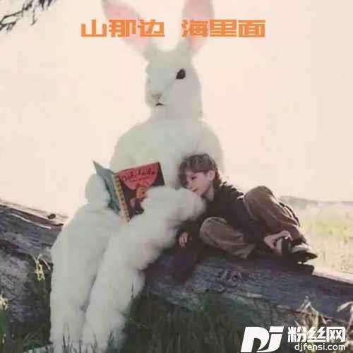 向云端（山那边海里面）的专辑