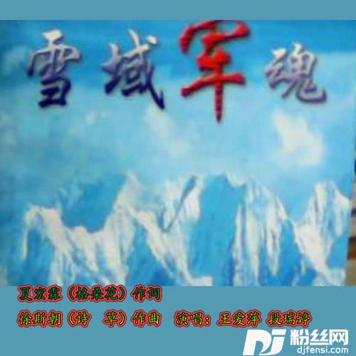 雪域军魂
