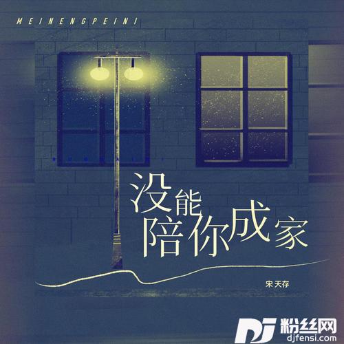 没能陪你成家