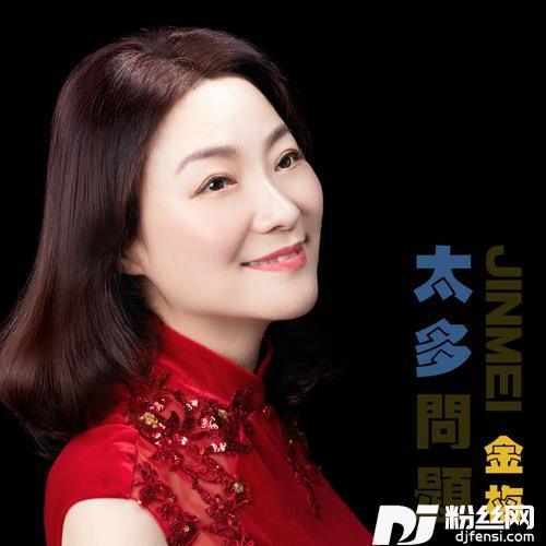 太多问题的专辑