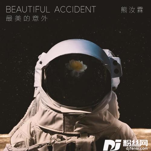 最美的意外的专辑