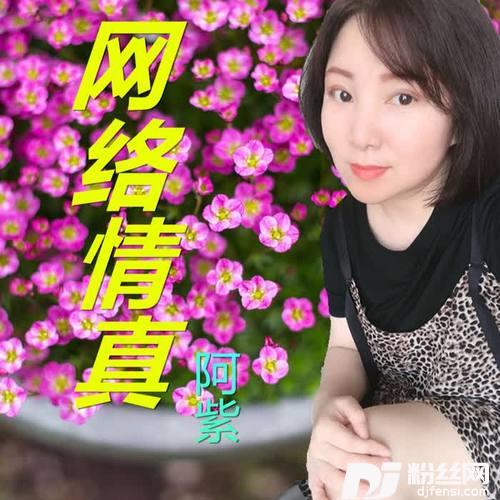 网络情真（女版）的专辑