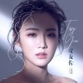 会飞的鱼