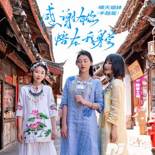 感谢有你陪在我身旁手鼓版