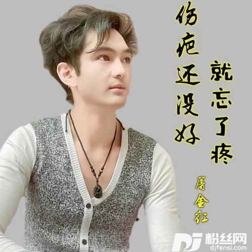 伤疤还没好就忘了疼cover:蔷薇团长的专辑