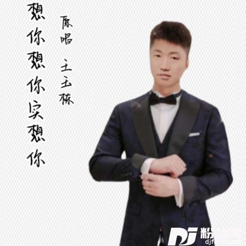 想你想你实想你