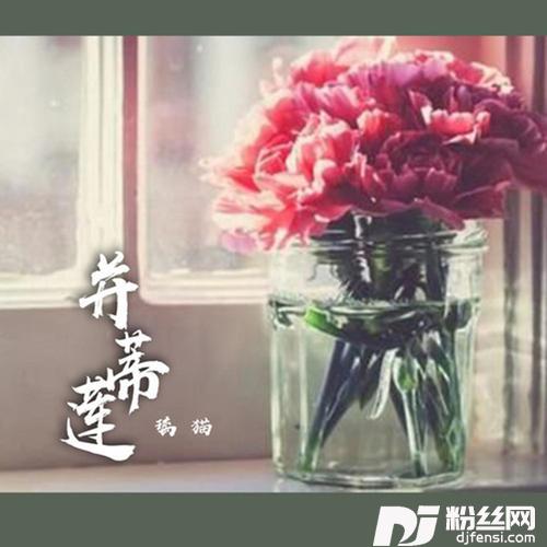 并蒂莲的专辑
