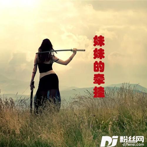妹妹的牵挂DJ